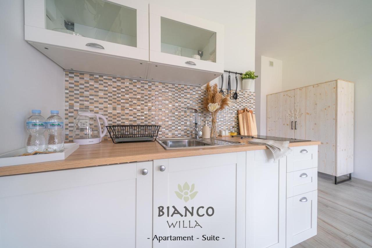 Willa Bianco Zakopane Luaran gambar